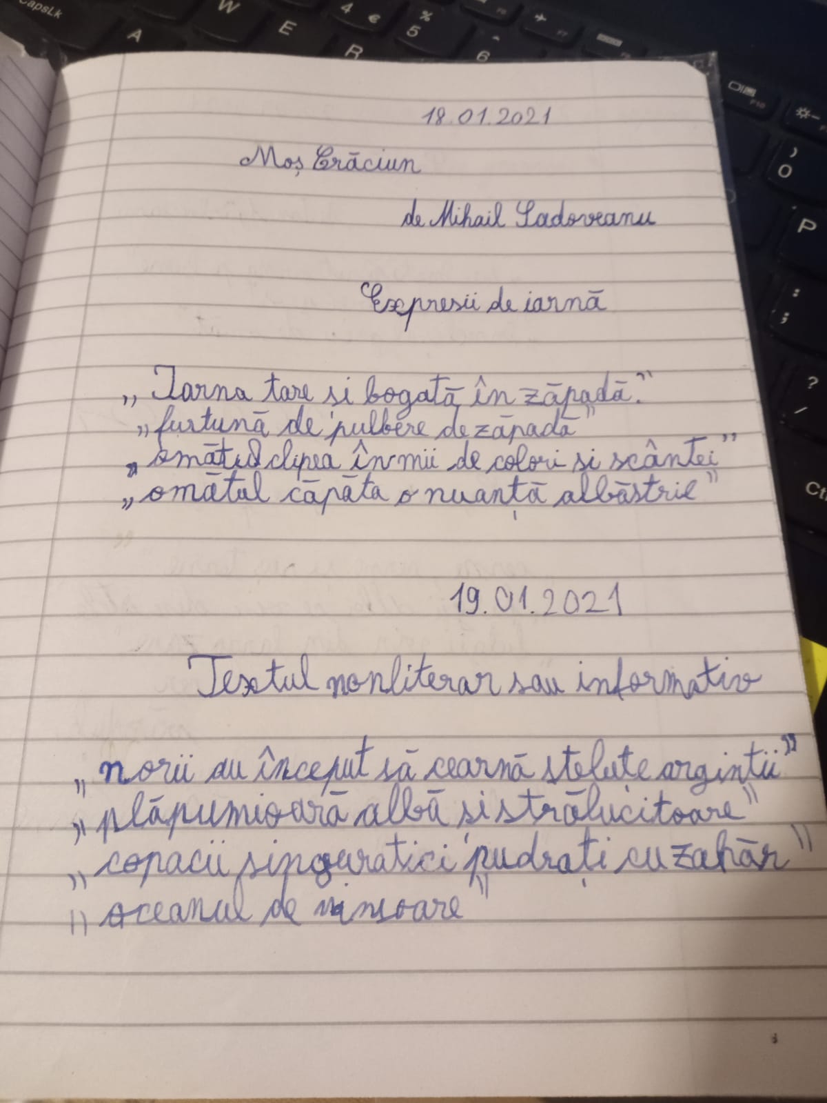 Anotimpurile prin ochi de copil – de Maria Ionescu by ionescu - Ourboox.com