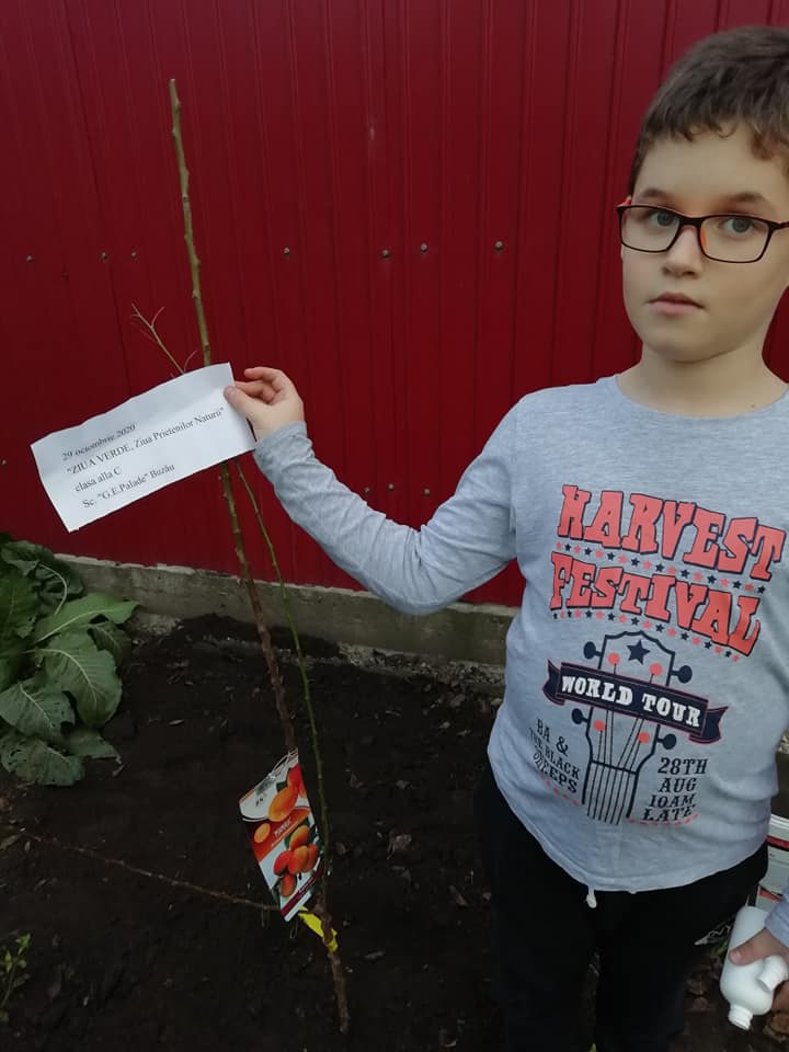 ANOTIMPURILE PRIN OCHI DE COPIL – DE ANDREI IONESCU by ionescu - Ourboox.com