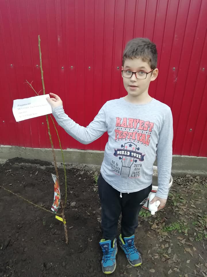 ANOTIMPURILE PRIN OCHI DE COPIL – DE ANDREI IONESCU by ionescu - Ourboox.com