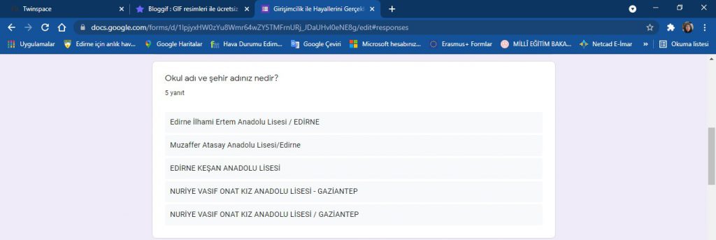 Girişimcilik İle Hayallerini Gerçekleştir Projesi Anket Sonuçları Analizleri by Duygu ALP GÖKYER - Ourboox.com