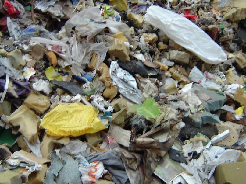 עבודת שורשים – שנת המצוות שלי by orian zemah - Ourboox.com