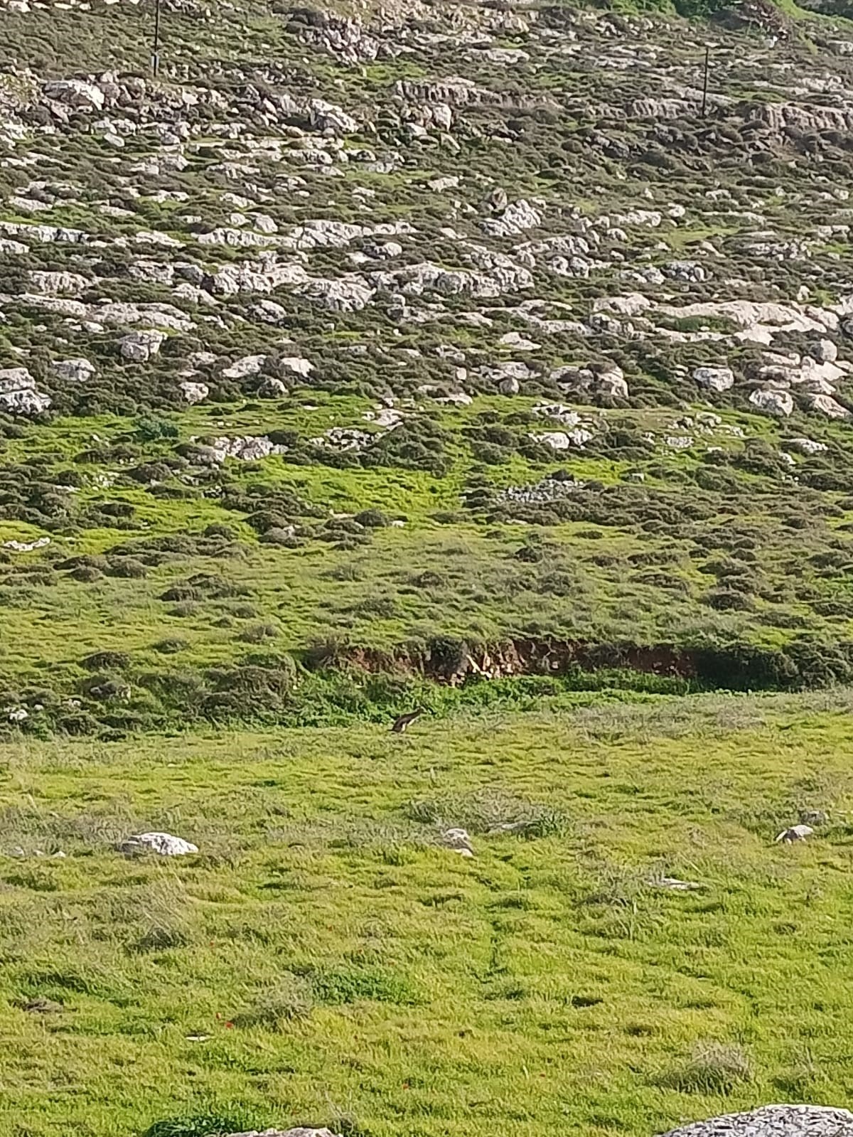 עבודת שורשים – שנת המצוות שלי by orian zemah - Ourboox.com