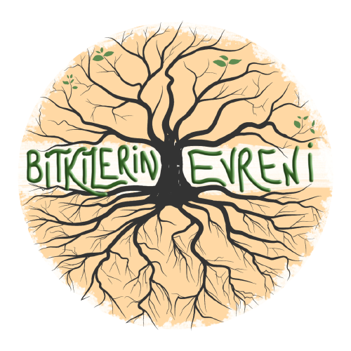 Yeni Ders: Bitkilerin Evreni Projesi Anket Değerlendirmeleri by Gamze Bozoğlu - Ourboox.com
