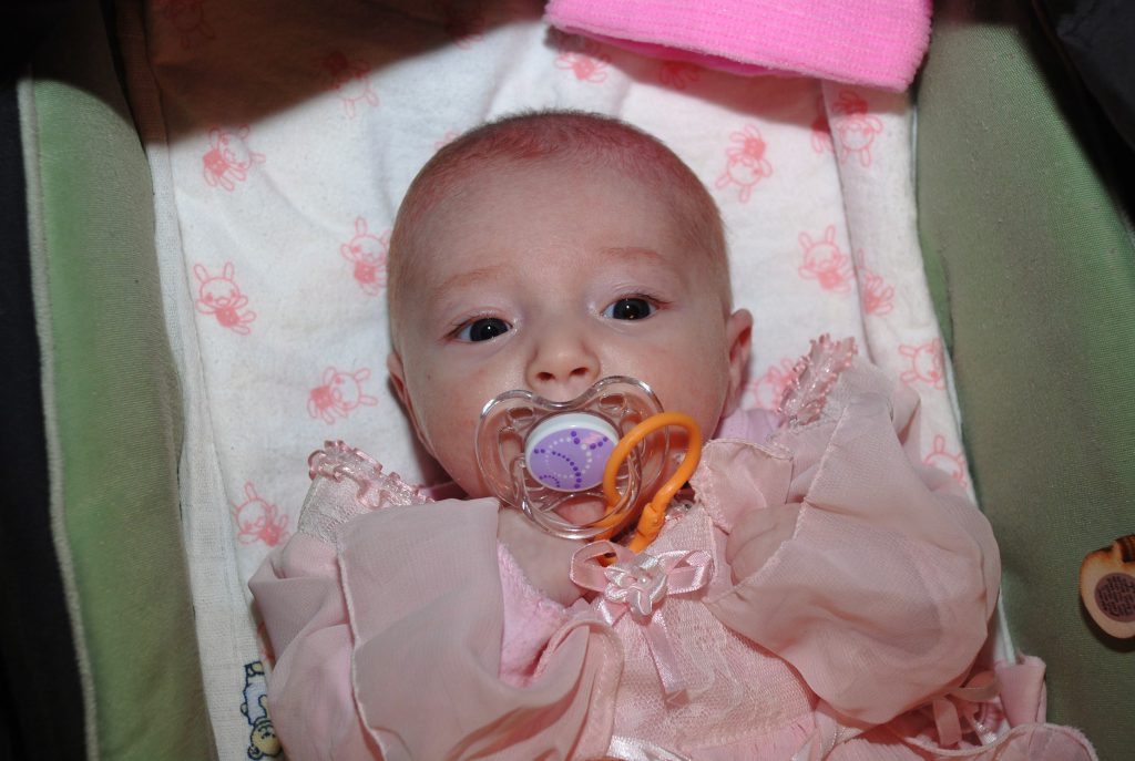 עבודת שורשים-ליאל by Liel kogan - Ourboox.com