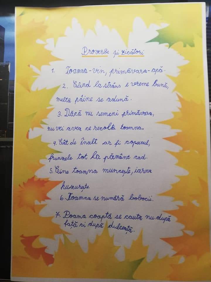 Anotimpurile prin ochi de copil by Arsenachi Vlad-Andrei - Illustrated by Arsenachi Vlad-Andrei - Ourboox.com