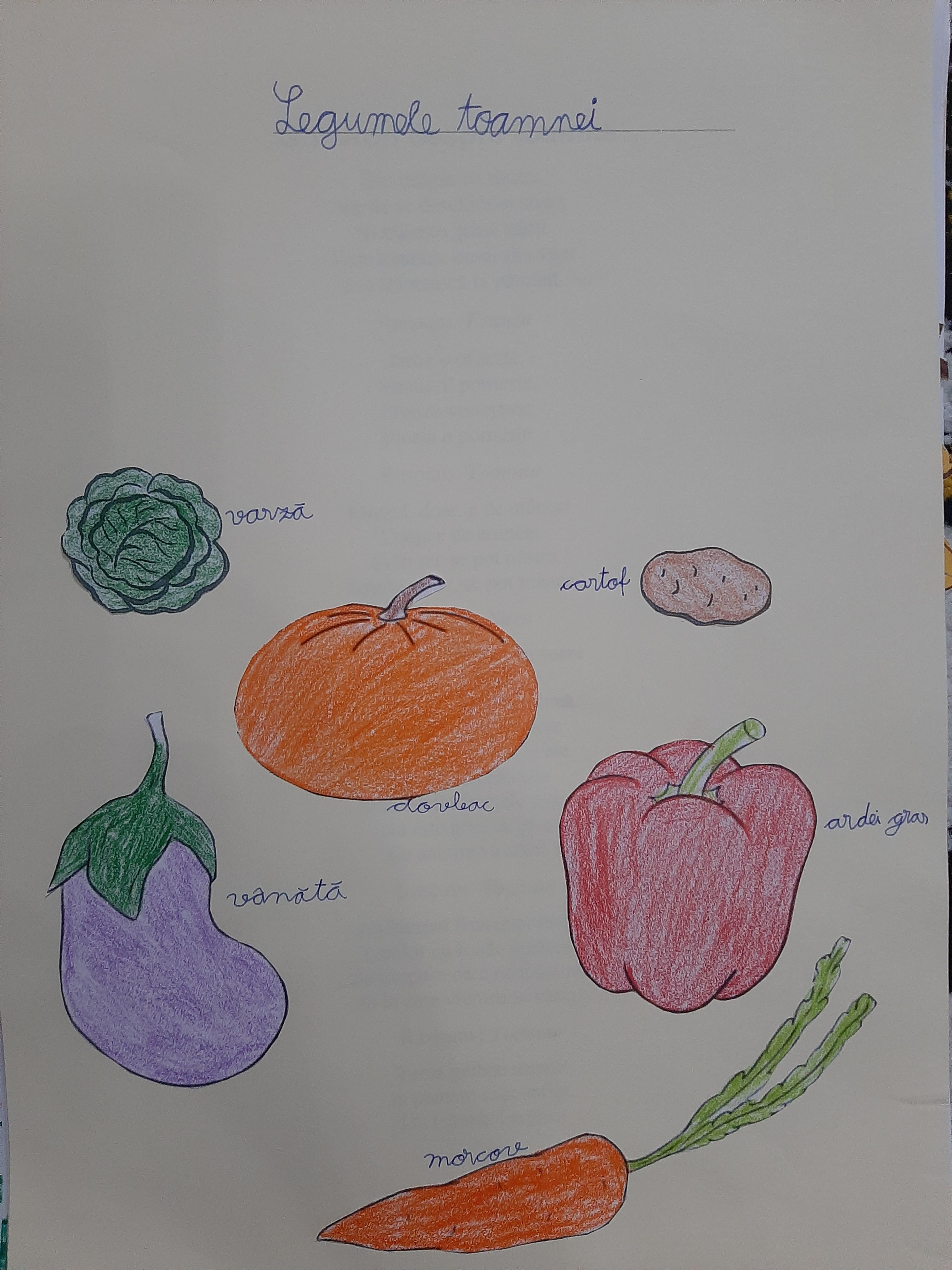 ANOTIMPURILE PRIN OCHI DE COPIL by rares - Ourboox.com