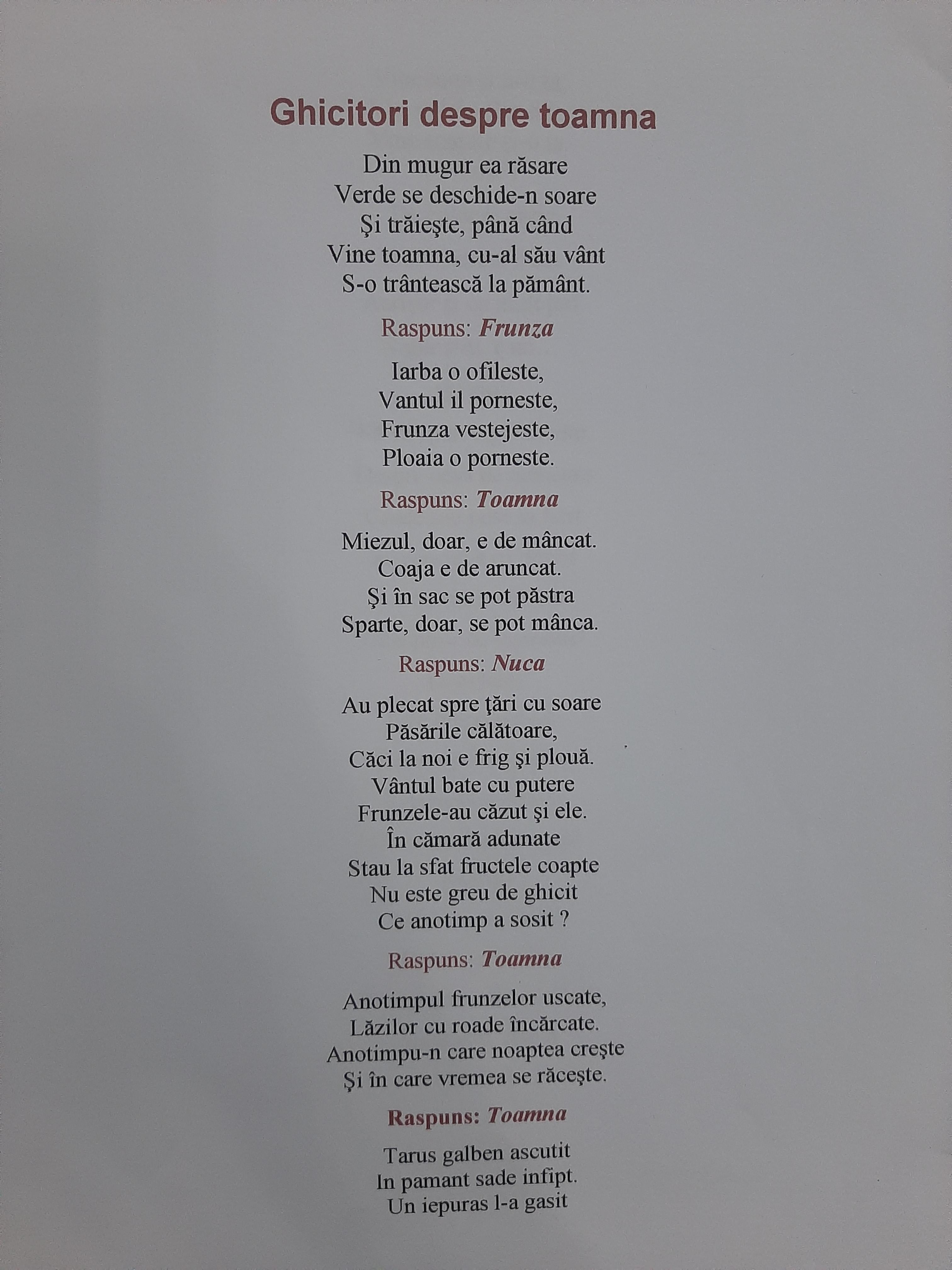 ANOTIMPURILE PRIN OCHI DE COPIL by rares - Ourboox.com