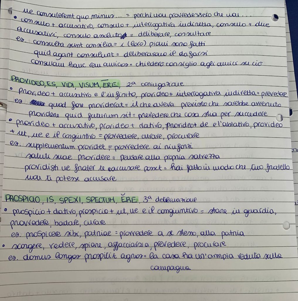 Il mio book di latino by Sara Grilli - Illustrated by Sara Grilli - Ourboox.com