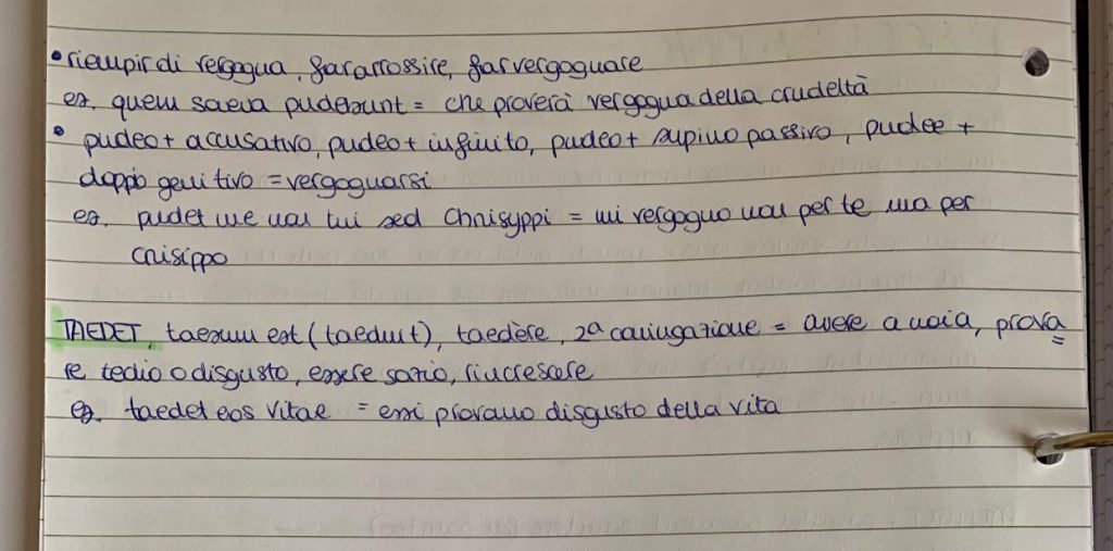 Il mio book di latino by Sara Grilli - Illustrated by Sara Grilli - Ourboox.com