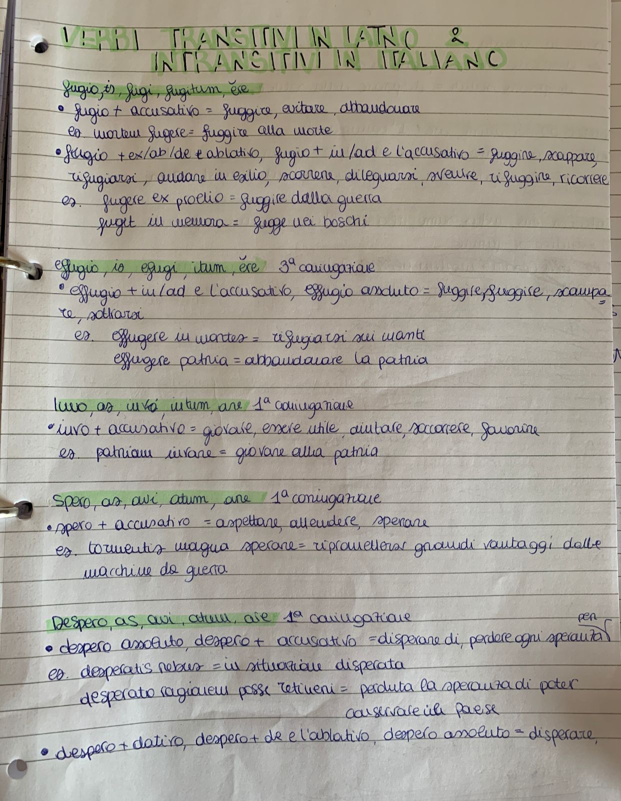 Il mio book di latino by Sara Grilli - Illustrated by Sara Grilli - Ourboox.com