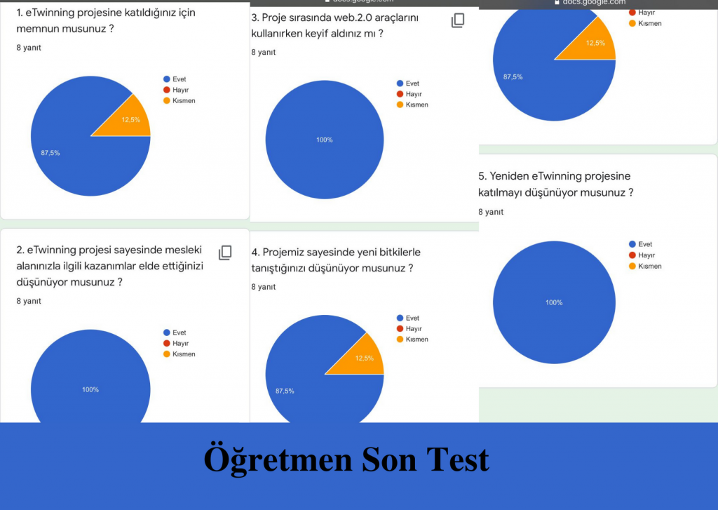 Yeni Ders: Bitkilerin Evreni Projesi Anket Değerlendirmeleri by Gamze Bozoğlu - Ourboox.com