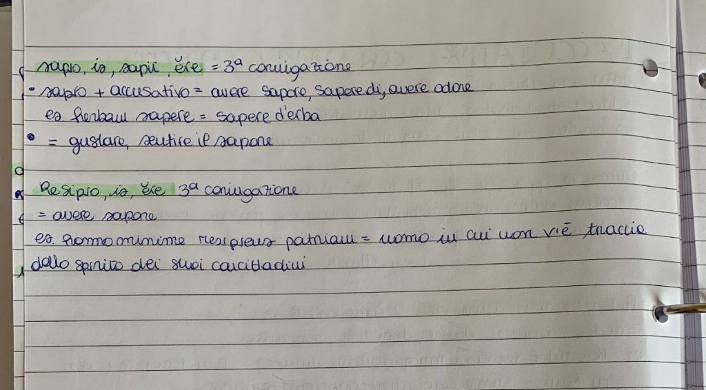 Il mio book di latino by Sara Grilli - Illustrated by Sara Grilli - Ourboox.com