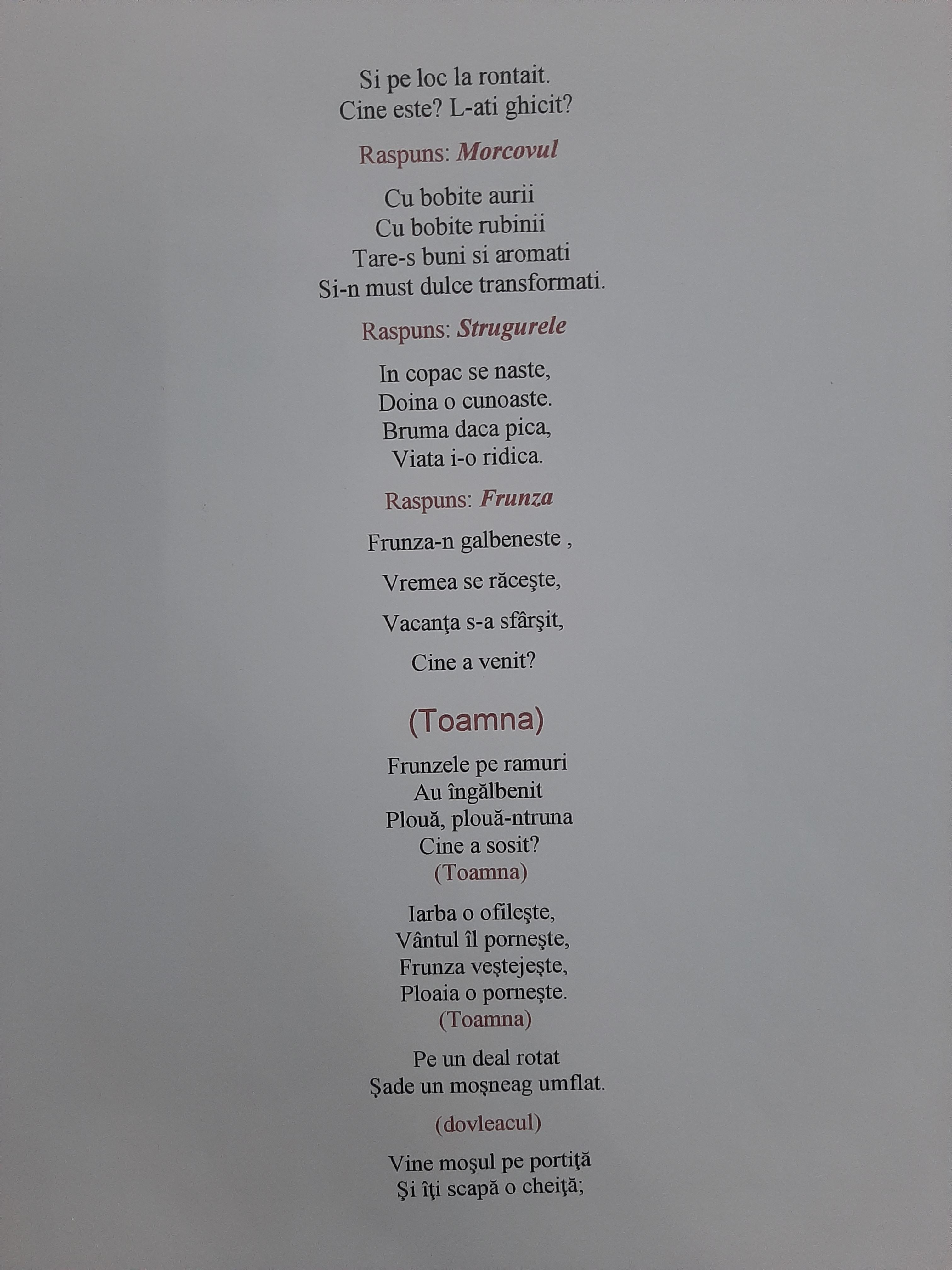 ANOTIMPURILE PRIN OCHI DE COPIL by rares - Ourboox.com