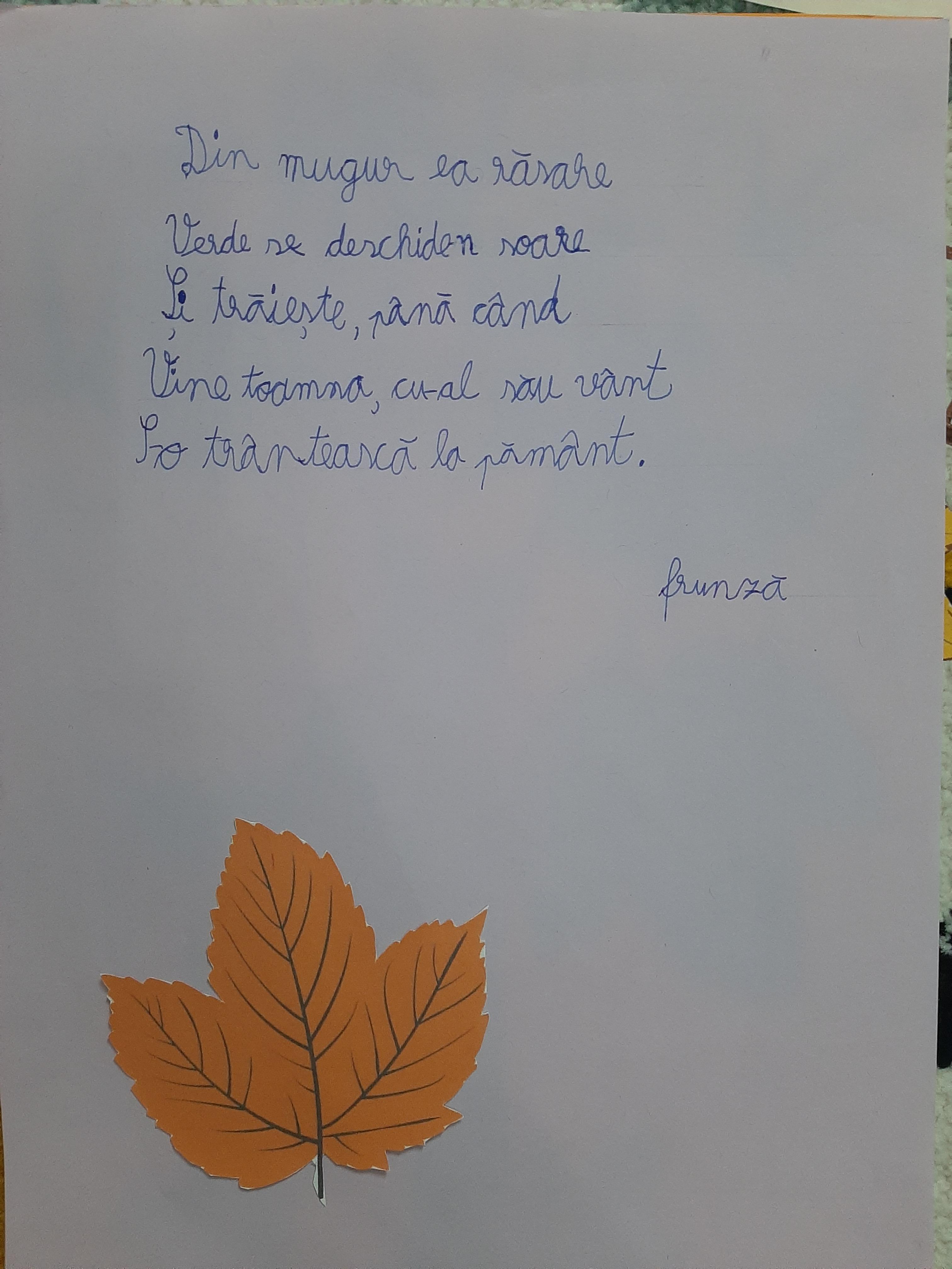 ANOTIMPURILE PRIN OCHI DE COPIL by rares - Ourboox.com