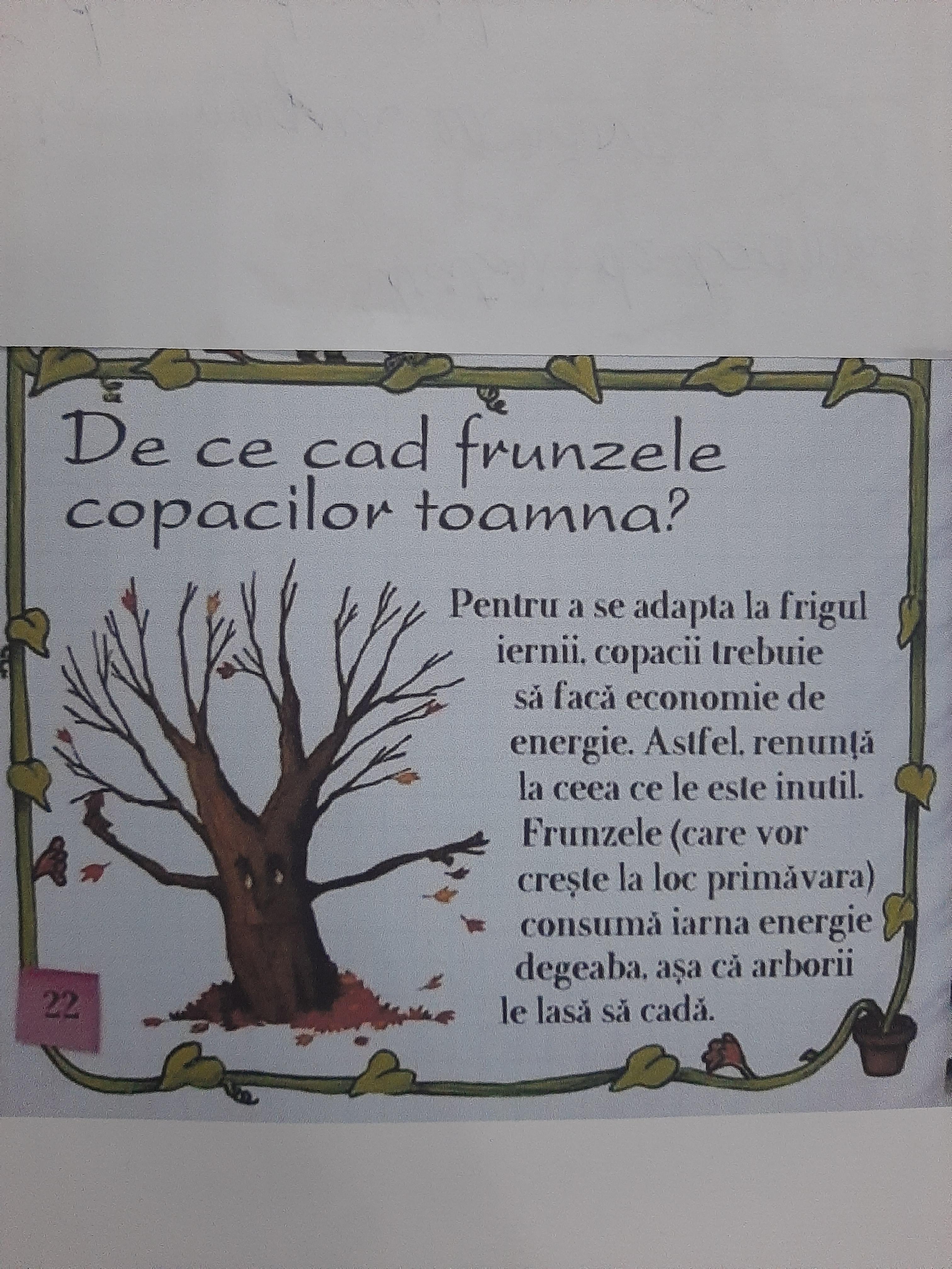 ANOTIMPURILE PRIN OCHI DE COPIL by rares - Ourboox.com