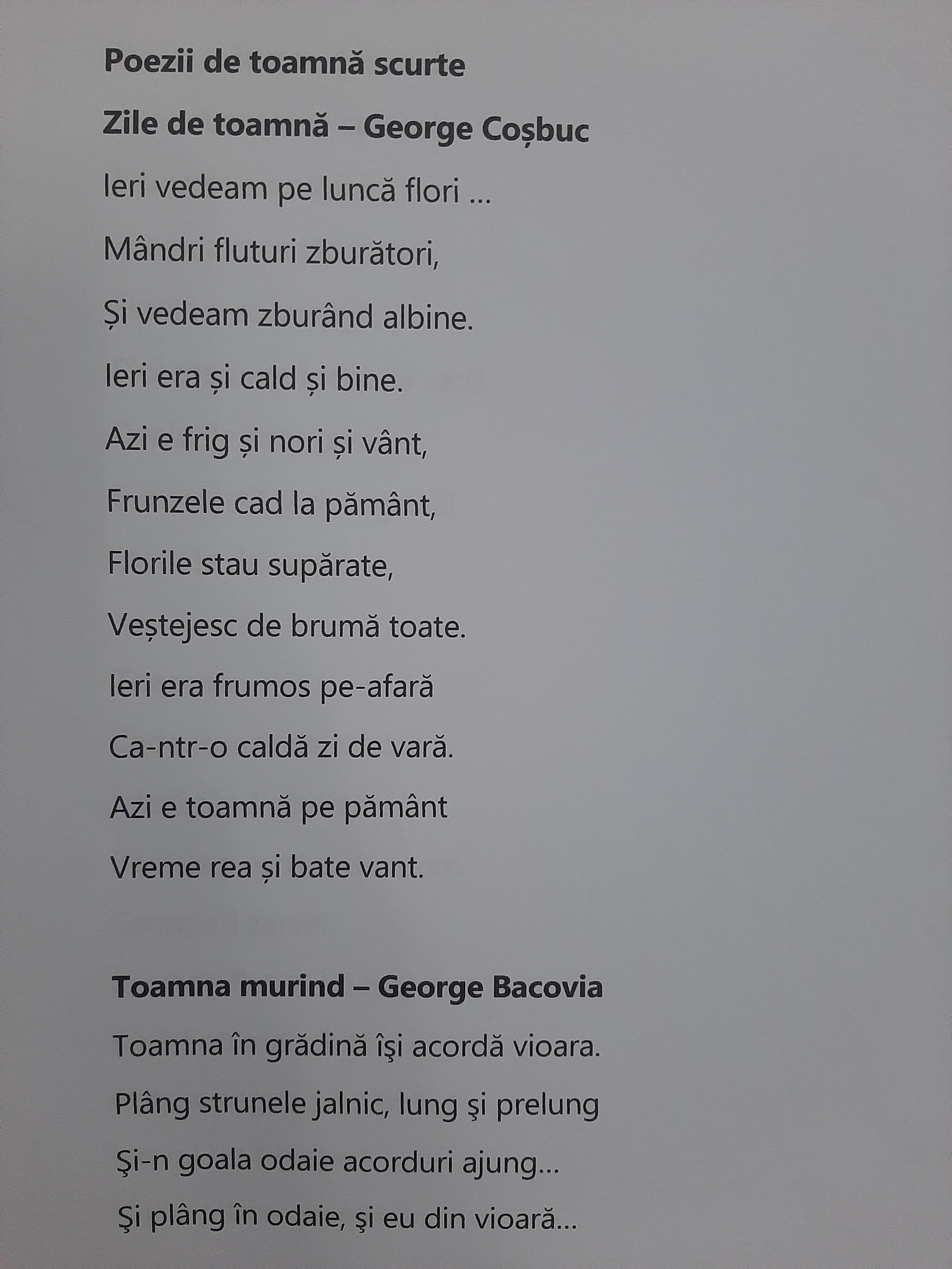 ANOTIMPURILE PRIN OCHI DE COPIL by rares - Ourboox.com