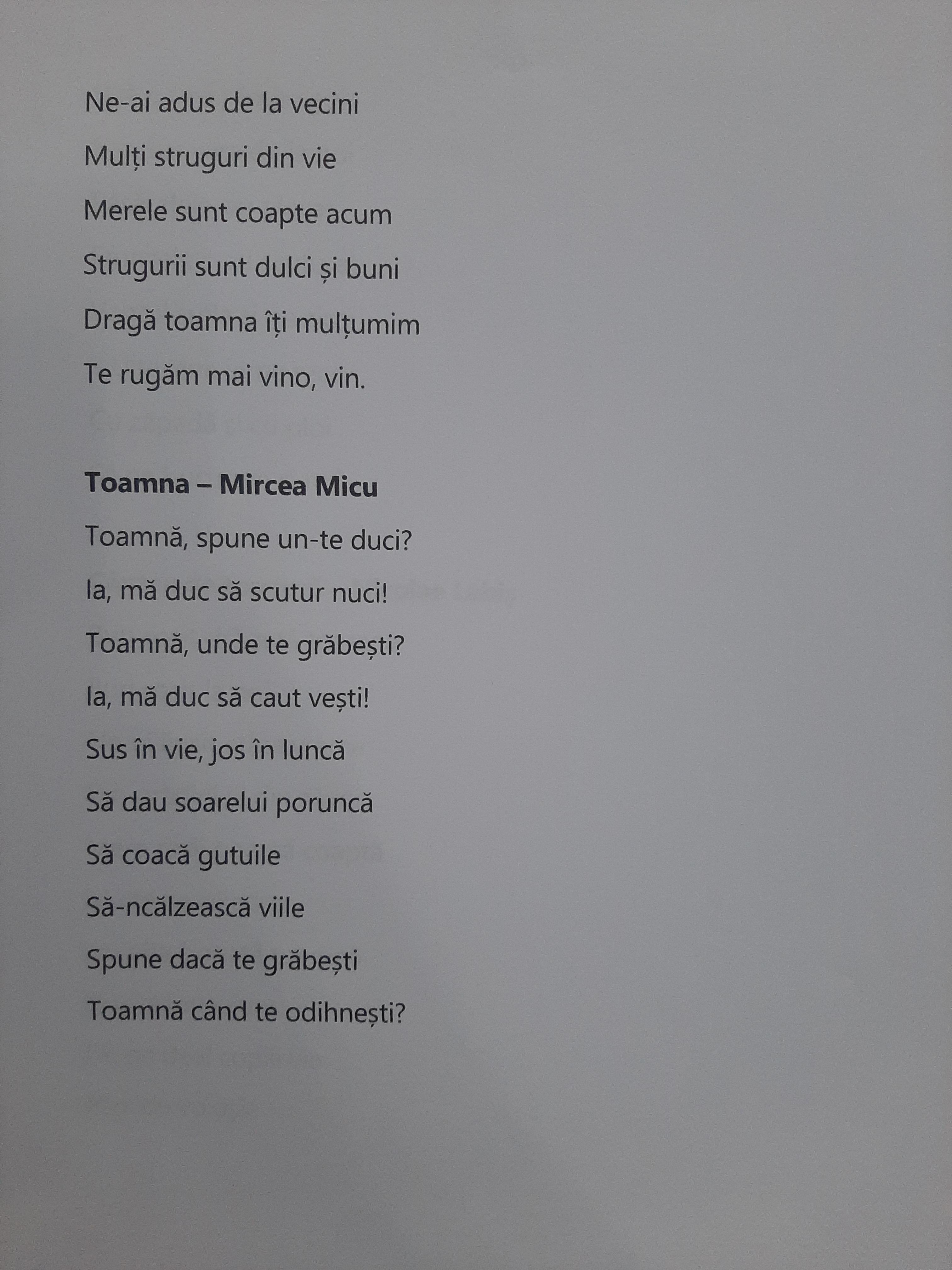 ANOTIMPURILE PRIN OCHI DE COPIL by rares - Ourboox.com