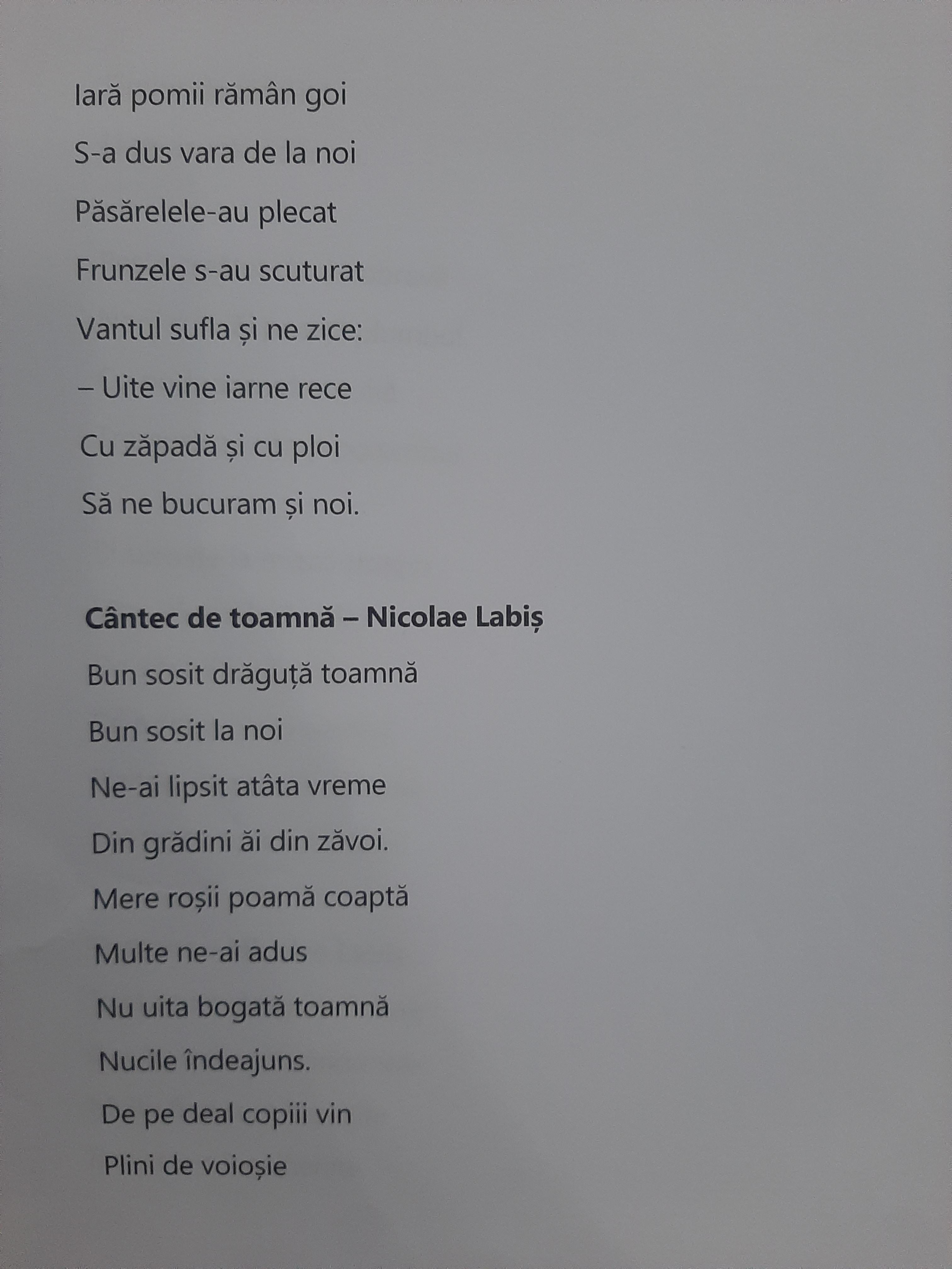 ANOTIMPURILE PRIN OCHI DE COPIL by rares - Ourboox.com