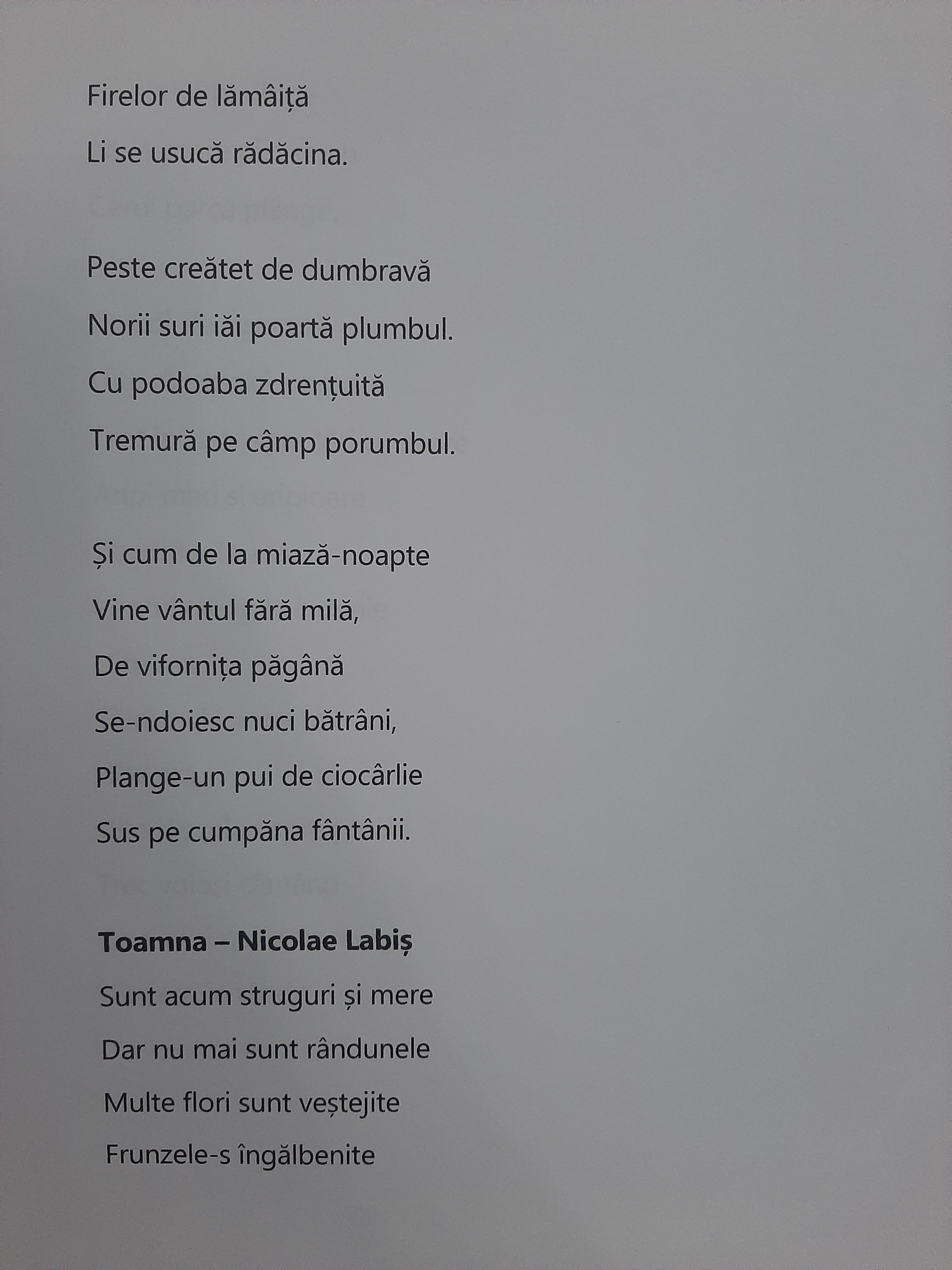 ANOTIMPURILE PRIN OCHI DE COPIL by rares - Ourboox.com