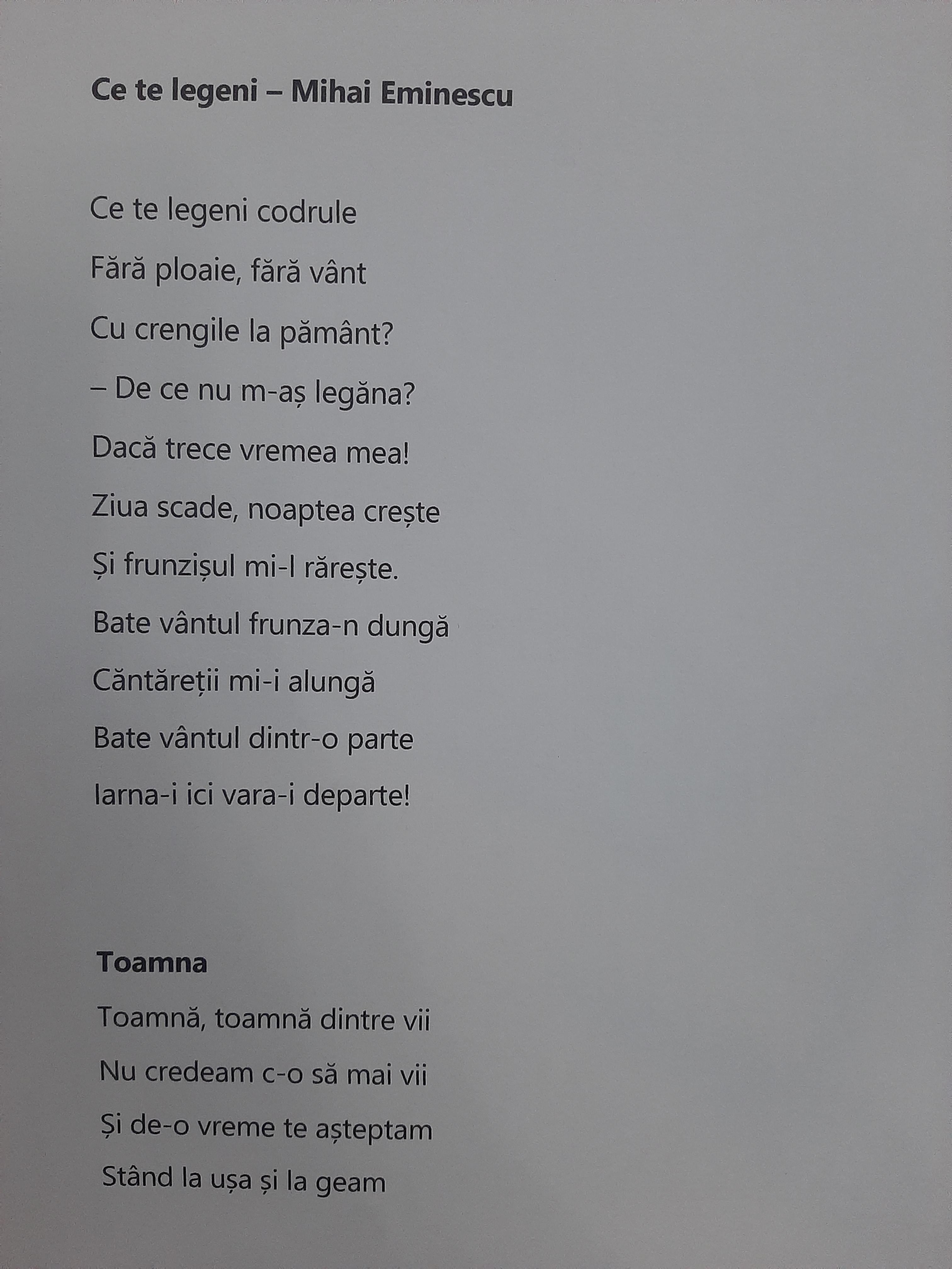 ANOTIMPURILE PRIN OCHI DE COPIL by rares - Ourboox.com