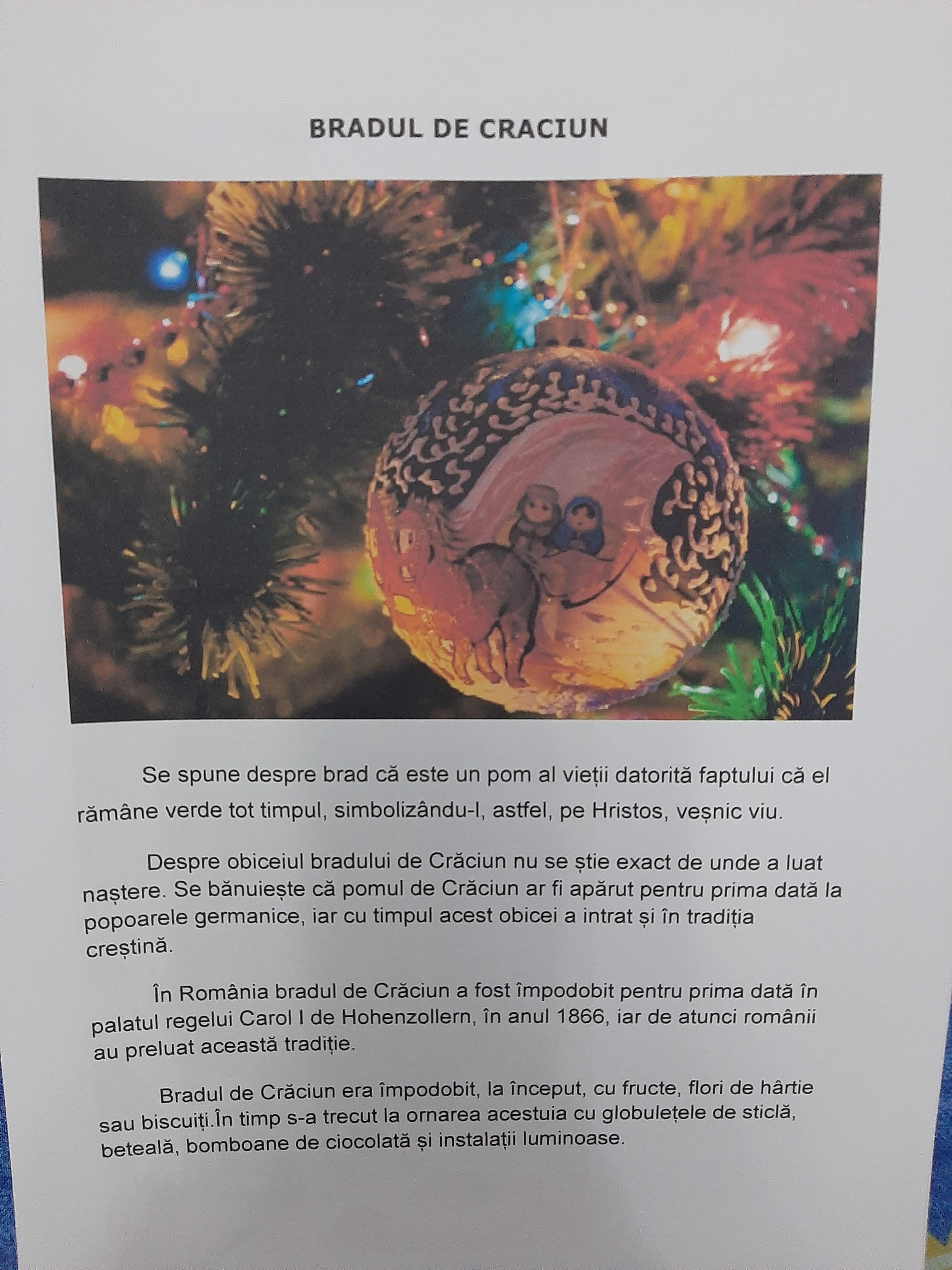 ANOTIMPURILE PRIN OCHI DE COPIL by rares - Ourboox.com