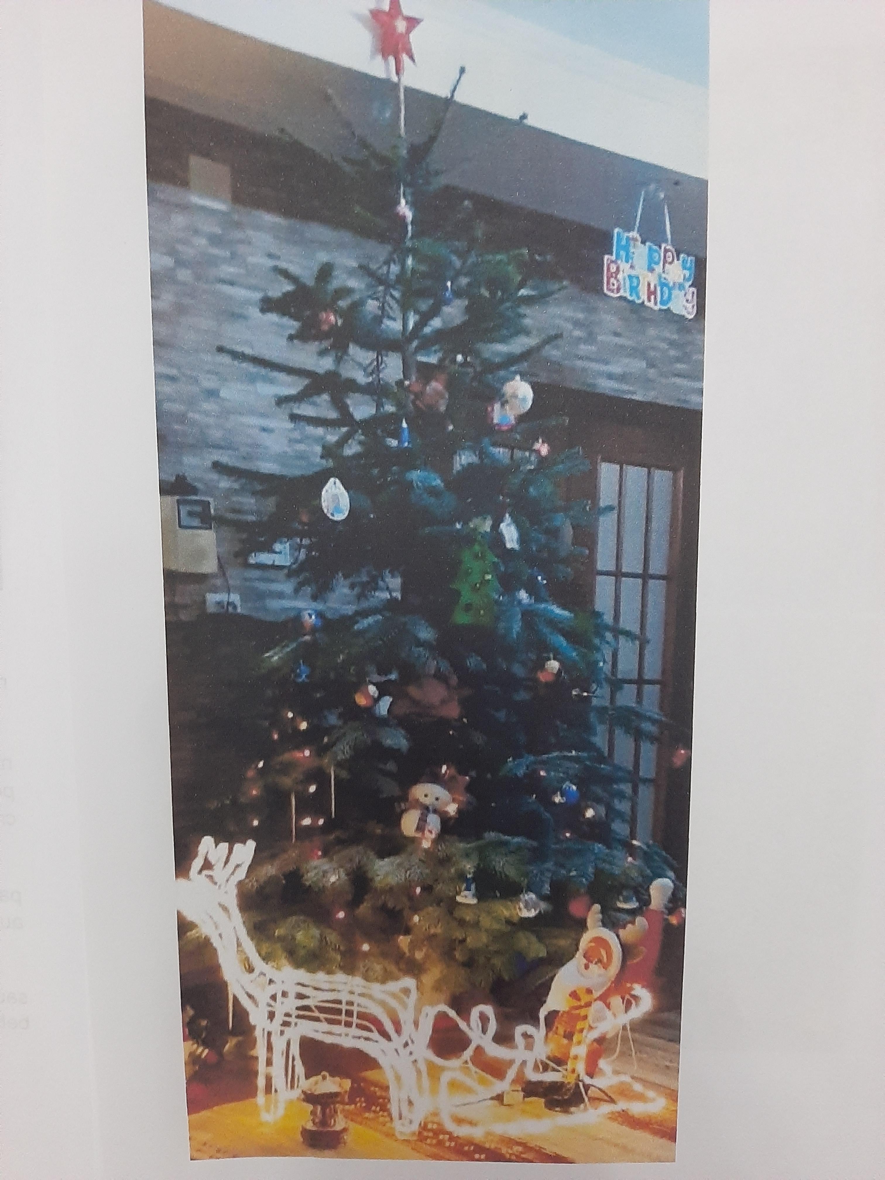 ANOTIMPURILE PRIN OCHI DE COPIL by rares - Ourboox.com