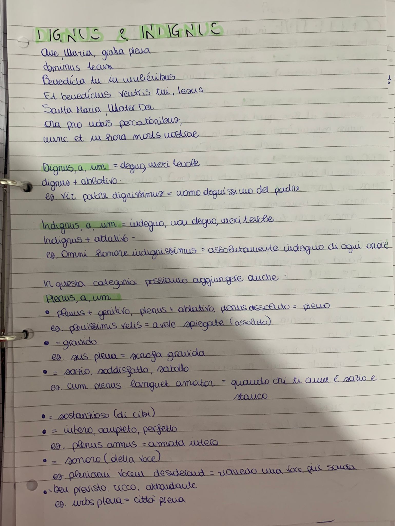 Il mio book di latino by Sara Grilli - Illustrated by Sara Grilli - Ourboox.com