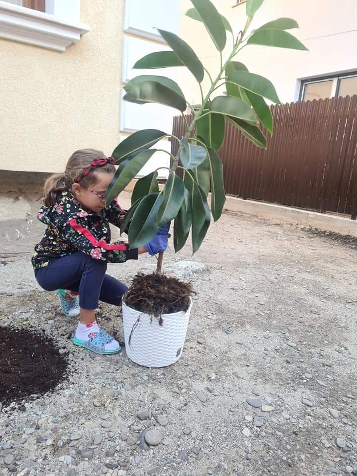 Anotimpurile prin ochi de copil by Cirstian Andreea Ioana - Ourboox.com