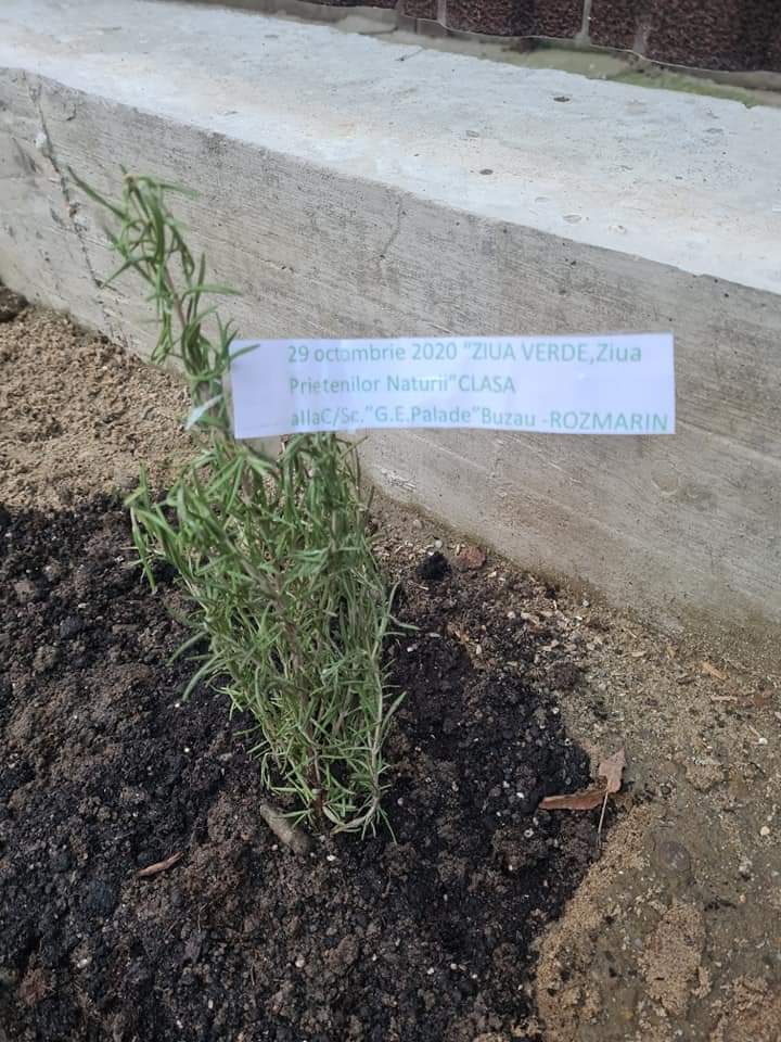 Anotimpurile prin ochi de copil by Cirstian Andreea Ioana - Ourboox.com