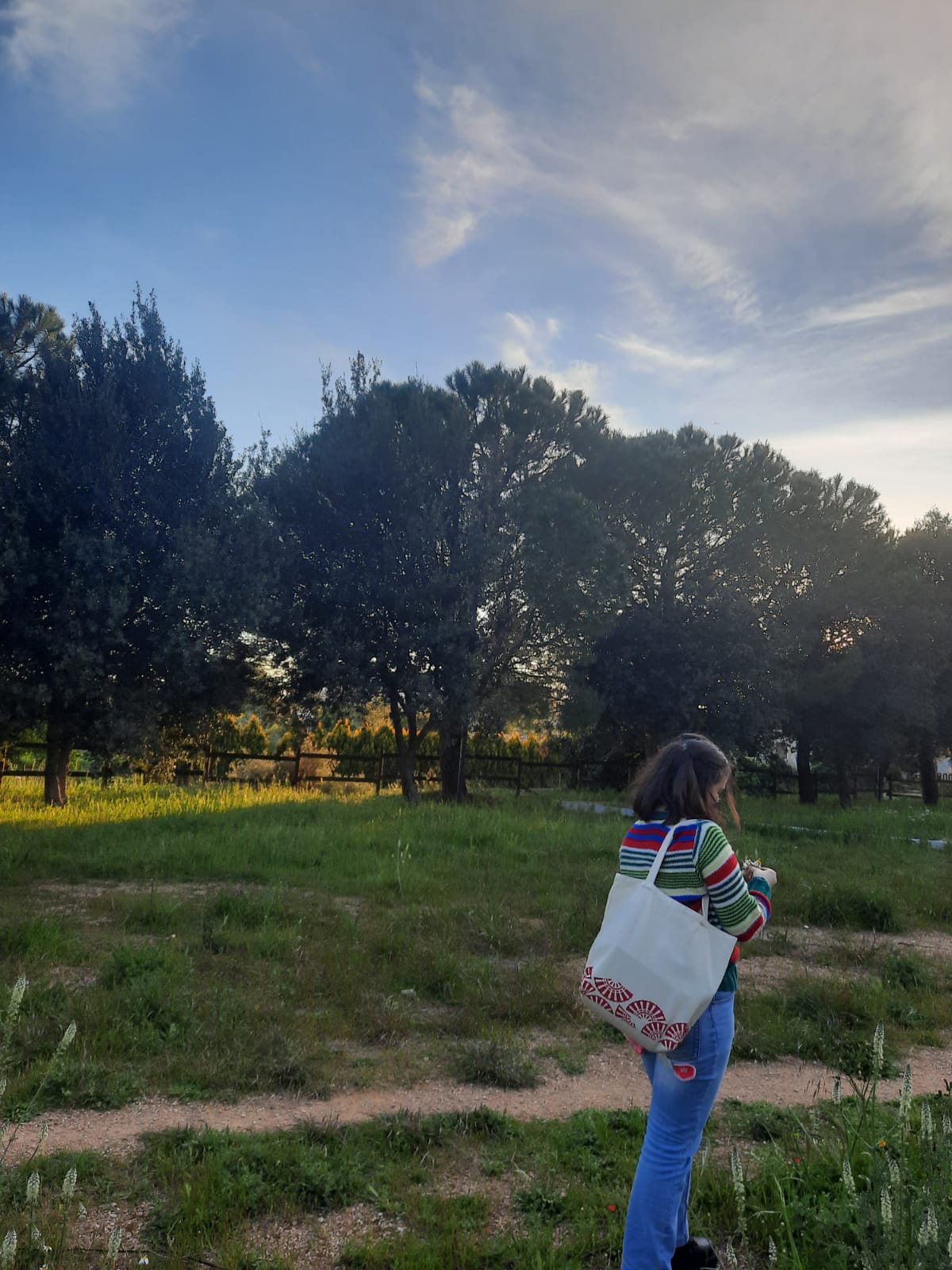 Franci & Mimi by Miriam Matera - Ourboox.com