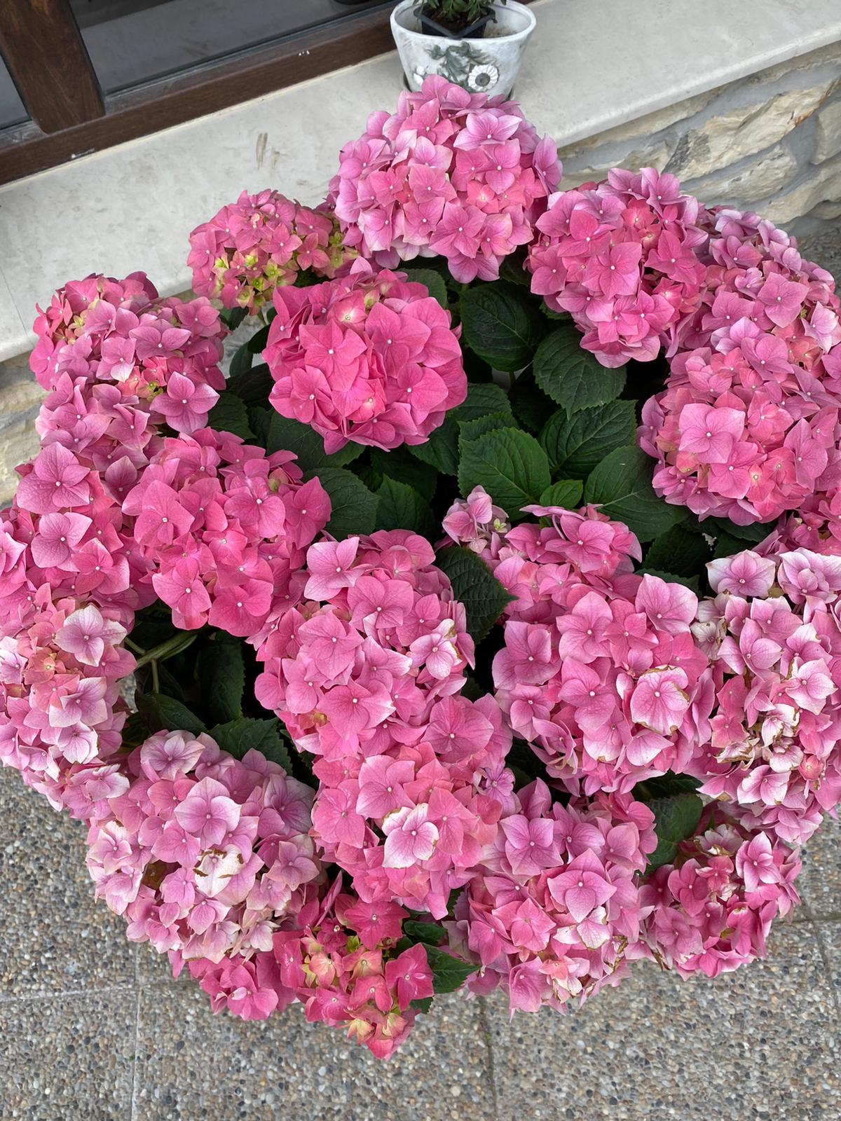 Anotimpurile prin ochi de copil by Cirstian Andreea Ioana - Ourboox.com