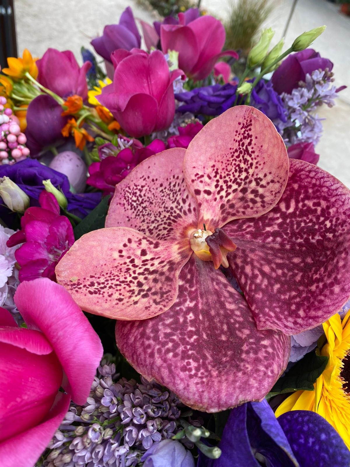 Anotimpurile prin ochi de copil by Cirstian Andreea Ioana - Ourboox.com