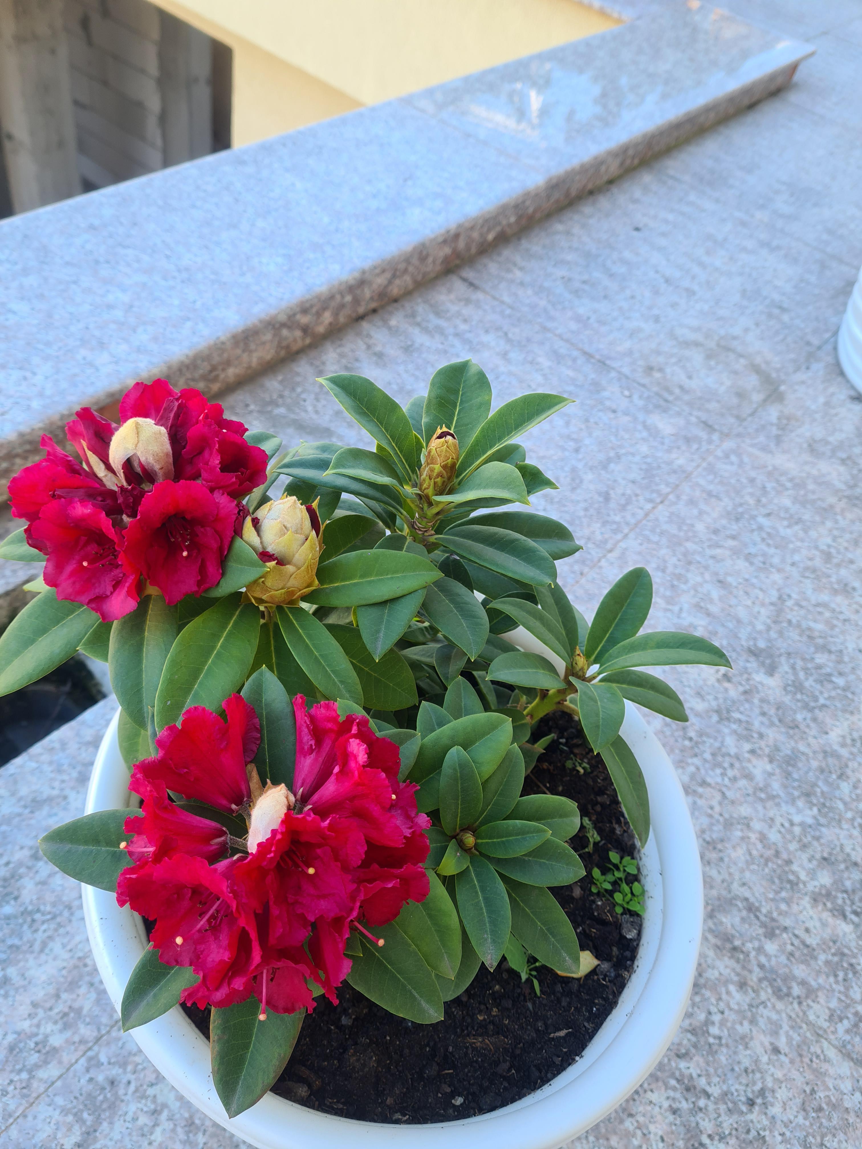 Anotimpurile prin ochi de copil by Cirstian Andreea Ioana - Ourboox.com