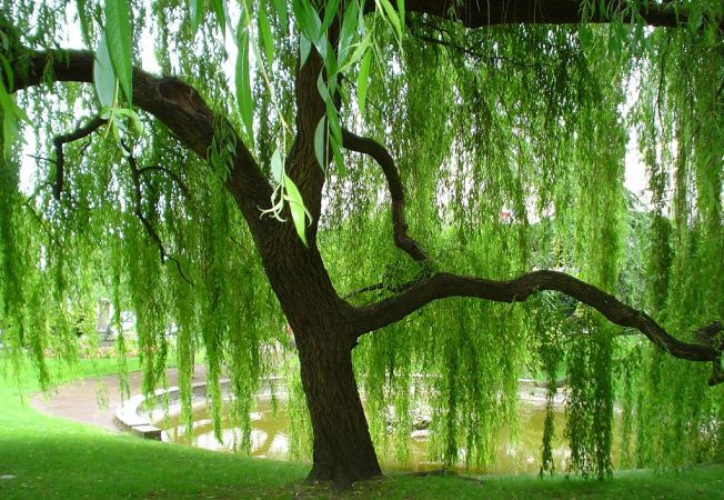 Anotimpurile prin ochi de copil by Cirstian Andreea Ioana - Ourboox.com