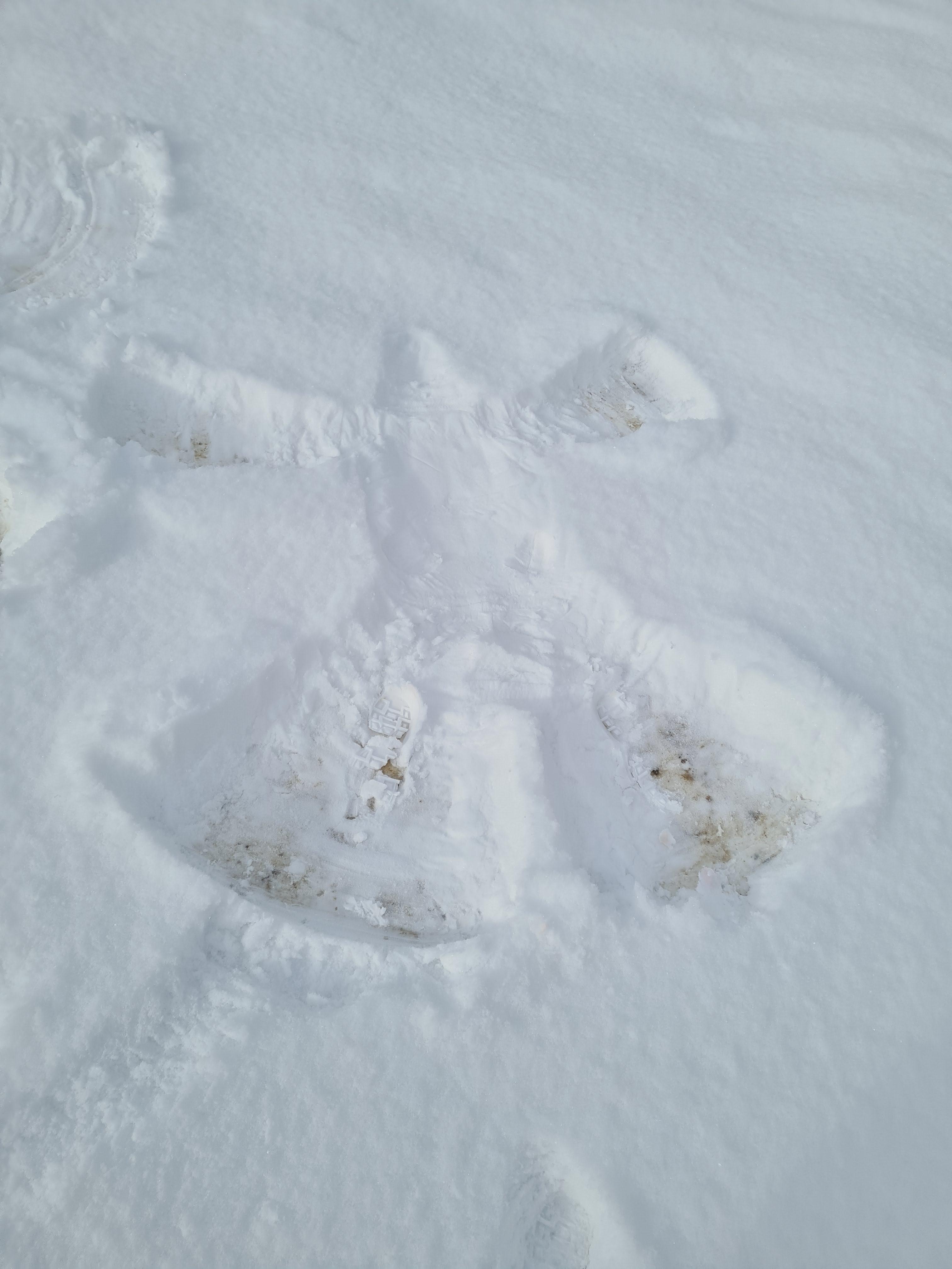 Anotimpurile prin ochi de copil by Cirstian Andreea Ioana - Ourboox.com