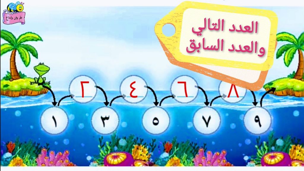 العدد التالي والعدد السابق للصف الأول by aman - Ourboox.com