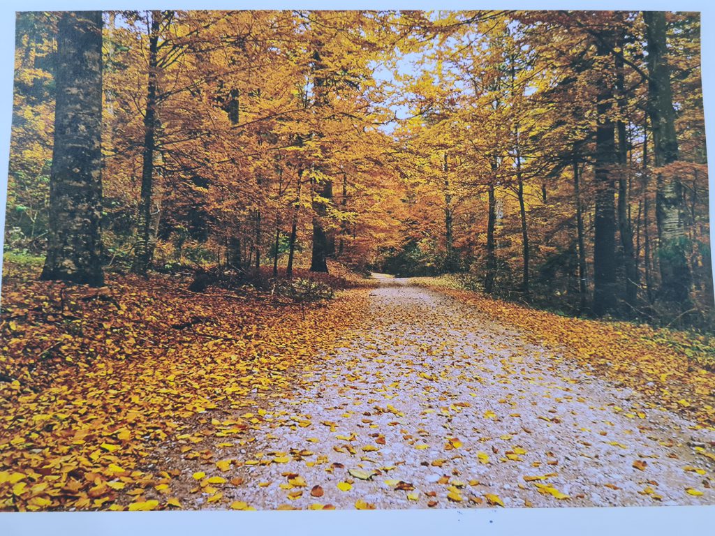 “Anotimpurile prin ochi de copil” by Ioana Roberta Cojocea by Mihaela Cojocea - Ourboox.com