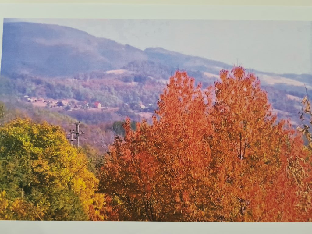 “Anotimpurile prin ochi de copil” by Ioana Roberta Cojocea by Mihaela Cojocea - Ourboox.com