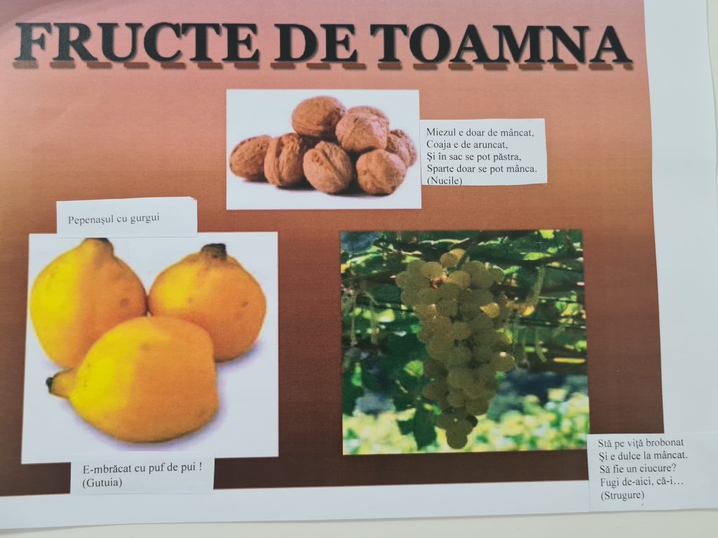 “Anotimpurile prin ochi de copil” by Ioana Roberta Cojocea by Mihaela Cojocea - Ourboox.com