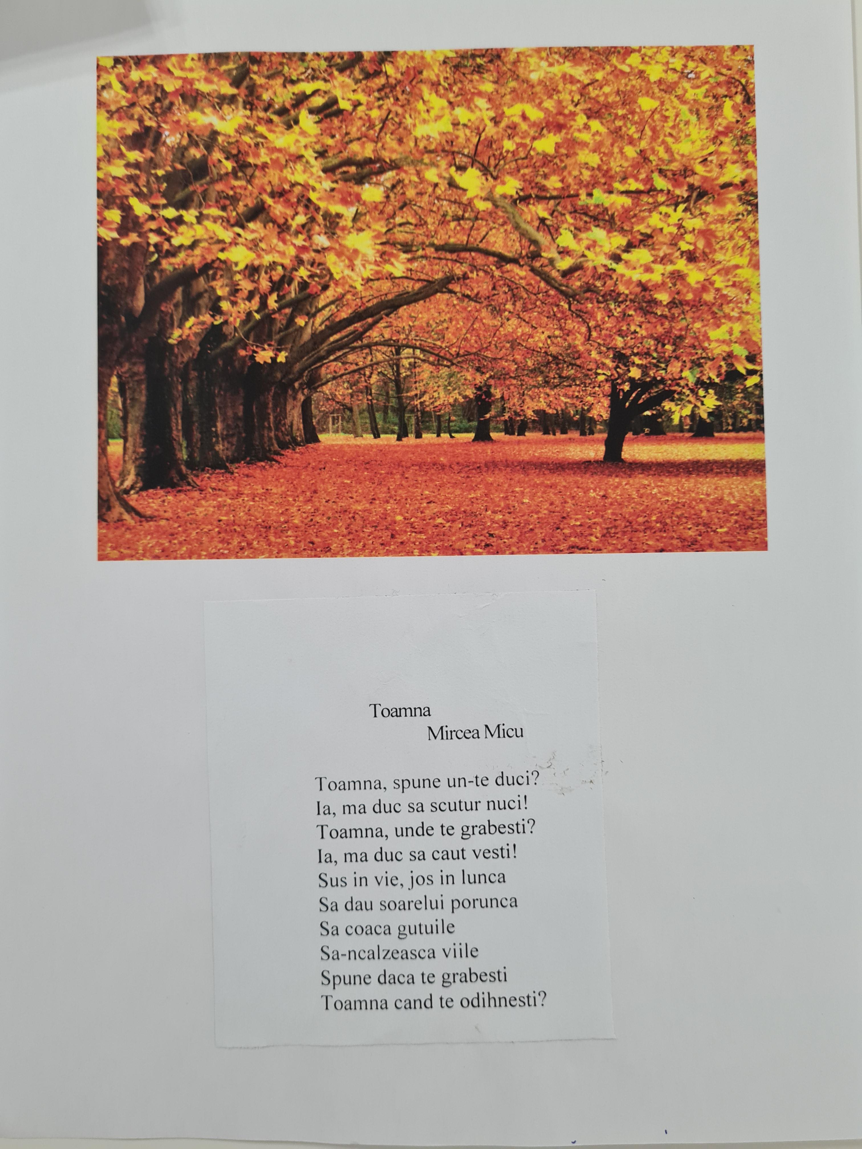 “Anotimpurile prin ochi de copil” by Ioana Roberta Cojocea by Mihaela Cojocea - Ourboox.com