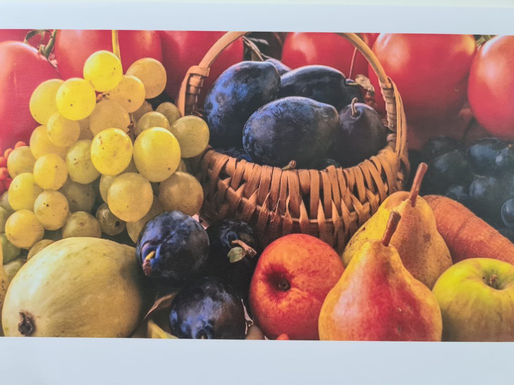 “Anotimpurile prin ochi de copil” by Ioana Roberta Cojocea by Mihaela Cojocea - Ourboox.com