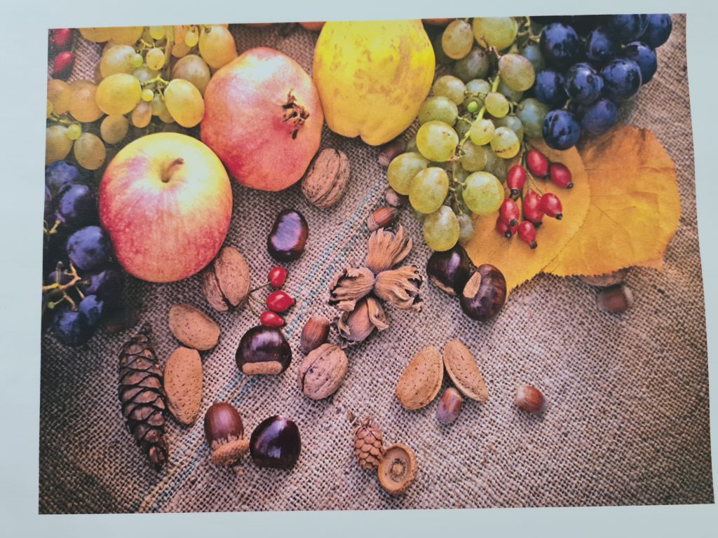 “Anotimpurile prin ochi de copil” by Ioana Roberta Cojocea by Mihaela Cojocea - Ourboox.com