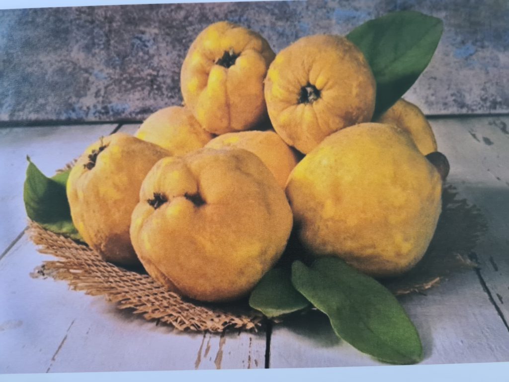 “Anotimpurile prin ochi de copil” by Ioana Roberta Cojocea by Mihaela Cojocea - Ourboox.com