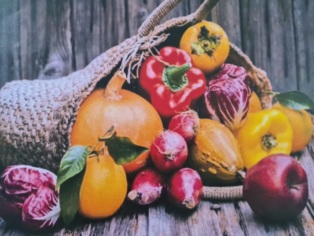 “Anotimpurile prin ochi de copil” by Ioana Roberta Cojocea by Mihaela Cojocea - Ourboox.com