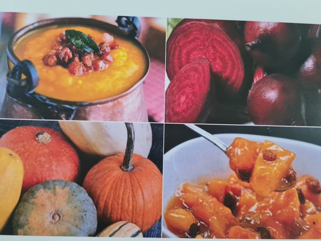 “Anotimpurile prin ochi de copil” by Ioana Roberta Cojocea by Mihaela Cojocea - Ourboox.com