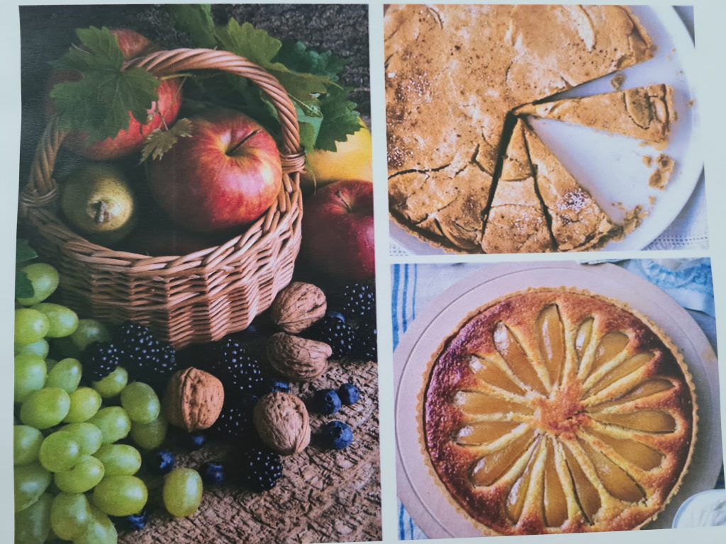 “Anotimpurile prin ochi de copil” by Ioana Roberta Cojocea by Mihaela Cojocea - Ourboox.com