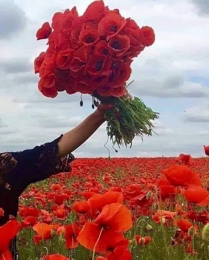 Anotimpurile prin ochi de copil by Cirstian Andreea Ioana - Ourboox.com