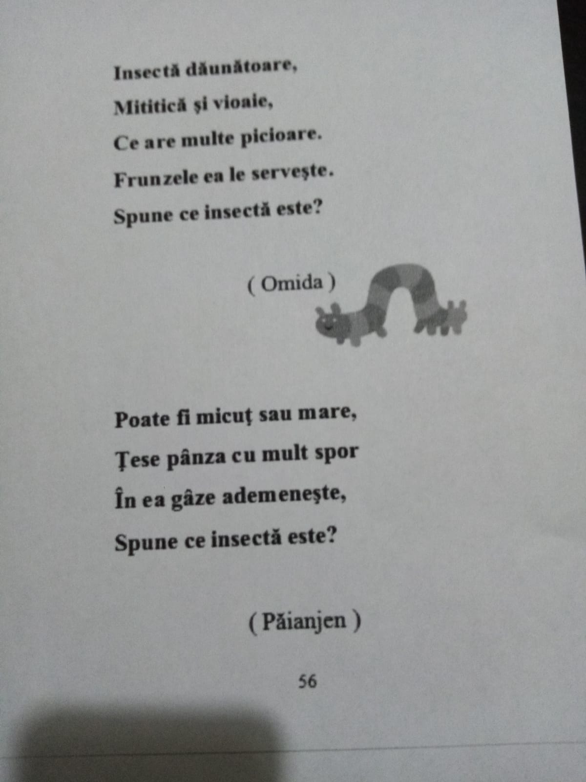 “Anotimpuri prin ochi de copil” de Stoian Florina Veronica by Stoian Veronica Florina - Ourboox.com