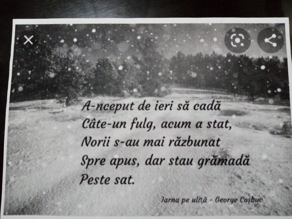 “Anotimpuri prin ochi de copil” de Stoian Florina Veronica by Stoian Veronica Florina - Ourboox.com