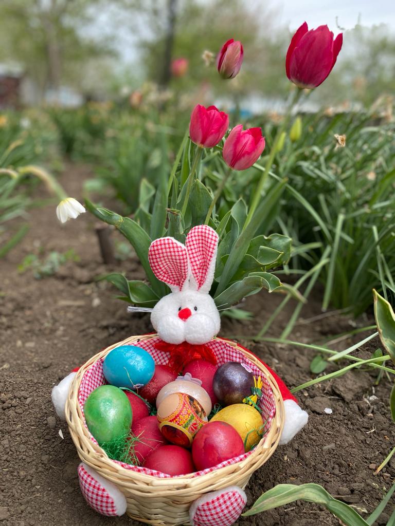 Anotimpurile prin ochi de copil by Dinu Sara-Andreea - Ourboox.com